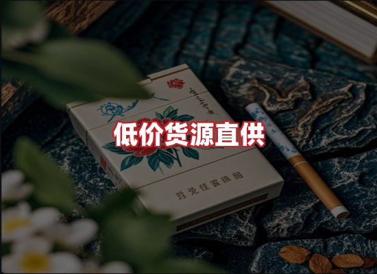 专业团队
